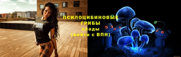 ALPHA PVP Белокуриха