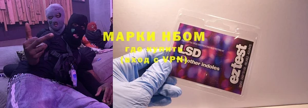 прущие грибы Богданович