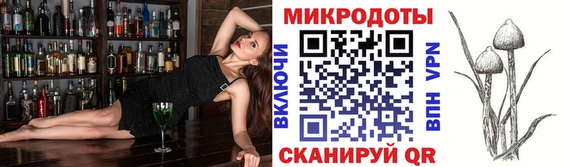 Псилоцибиновые грибы Cubensis  купить   Высоковск 